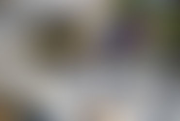 えがおの輪通信5月号を発行しました
