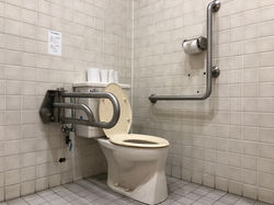 多目的トイレの便器