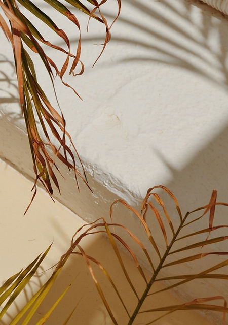 Candy Nature_edited.jpg