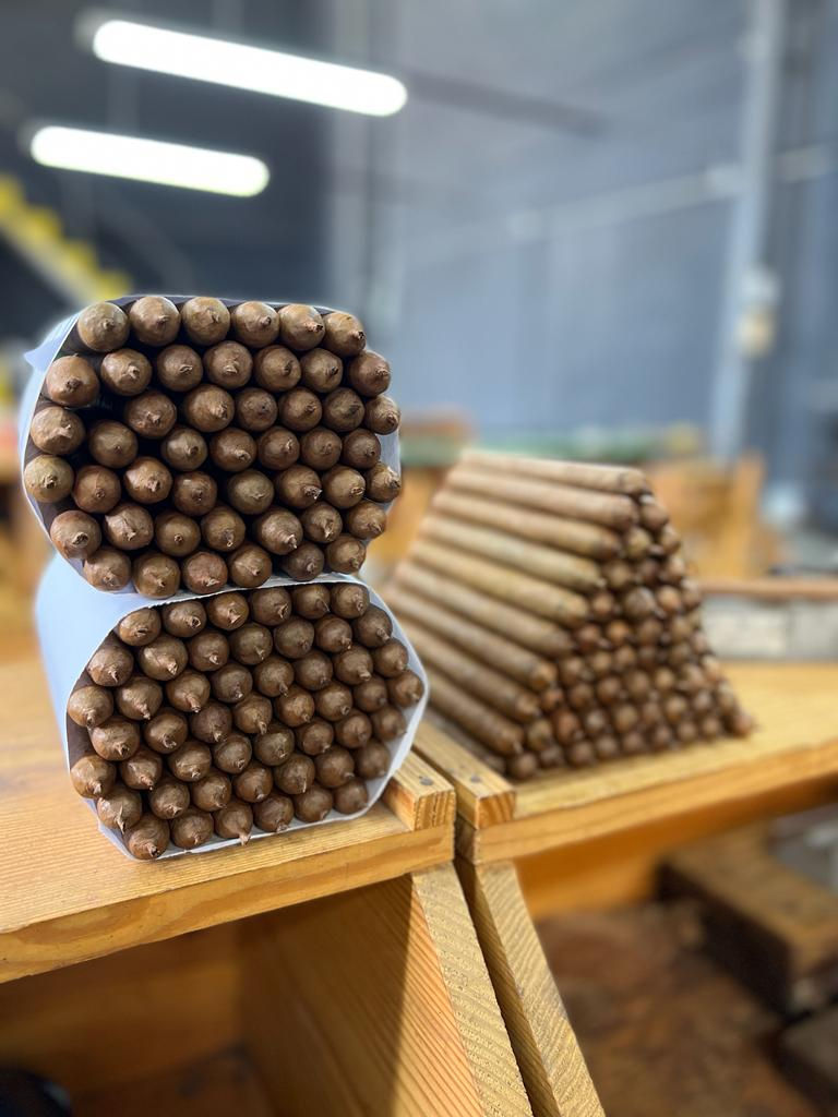 Cuban Cigars vs. New World Cigars