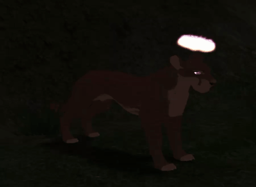 head_11.gif