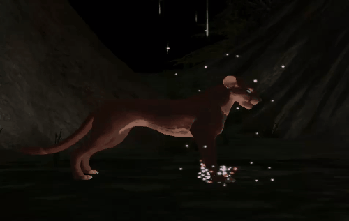 paw_7.gif