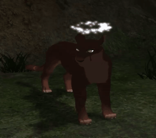 head_14.gif