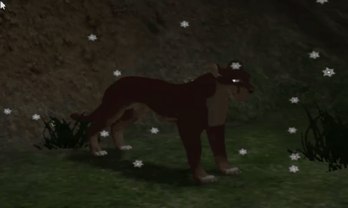 head_13.gif