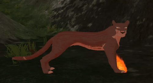 paw_1.gif