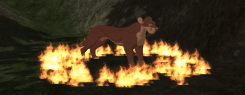 body_4.gif