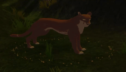 body_23.gif