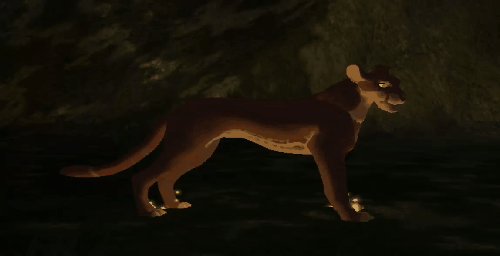 paw_8.gif