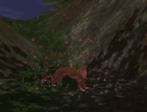 body_62.gif