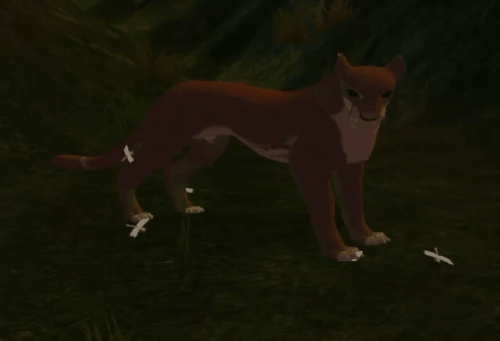 body_24.gif