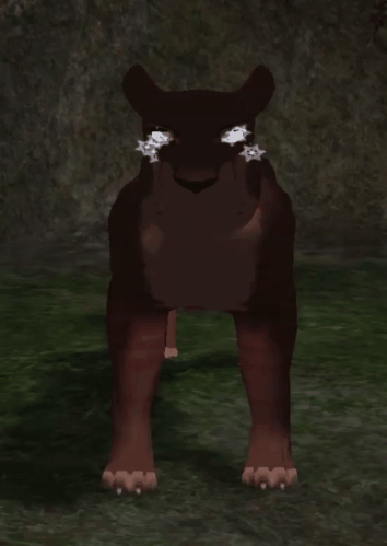 head_7.gif