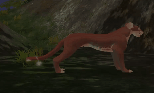 tail_3.gif