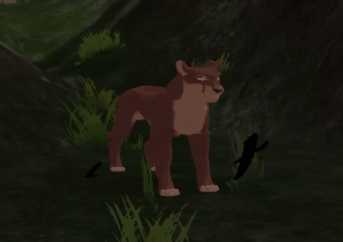 body_19.gif