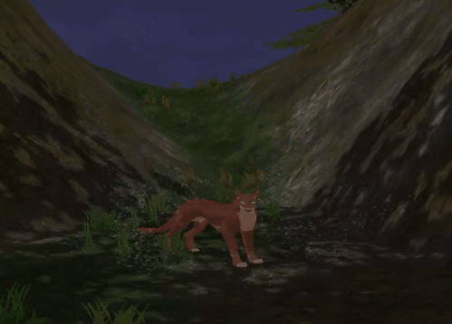 body_61.gif