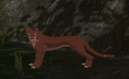 body_57.gif