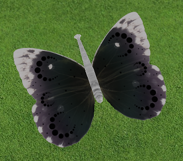 dark eclipse butterfly.png