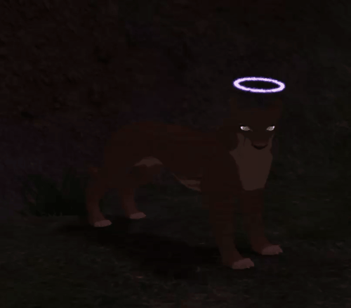 head_10.gif
