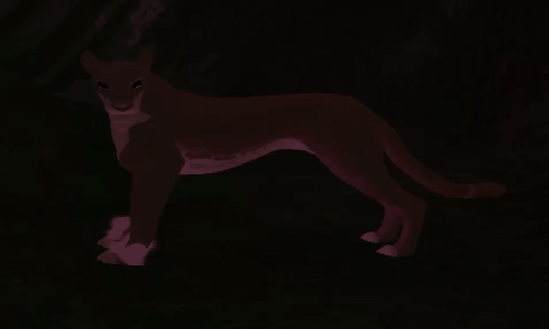 paw_3.gif