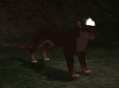 head_4.gif