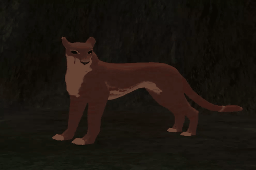 paw_16.gif
