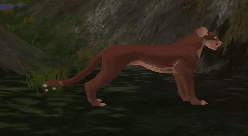 tail_4.gif