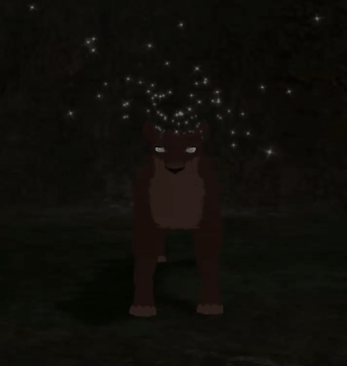head_8.gif