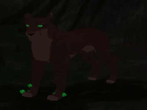 paw_4.gif