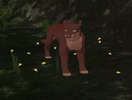 body_55.gif