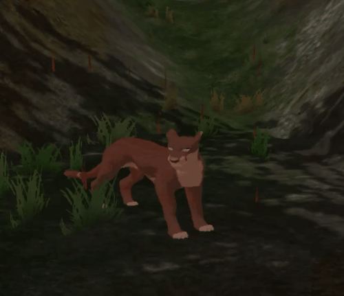 body_58.gif