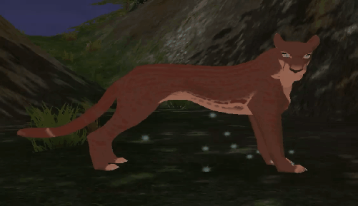 paw_5.gif