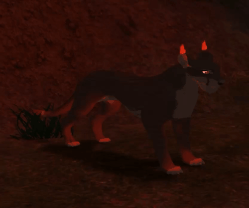 head_12.gif