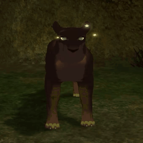 head_6.gif