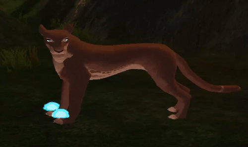 paw_2.gif