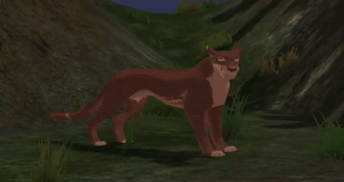 body_14.gif