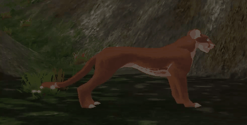 tail_5.gif