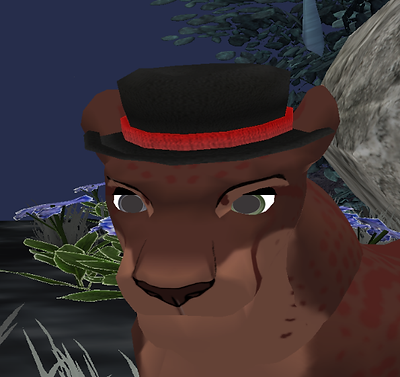 image.png