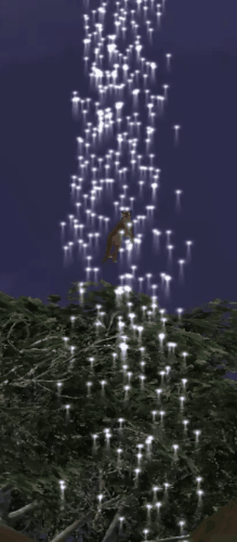 body_11.gif