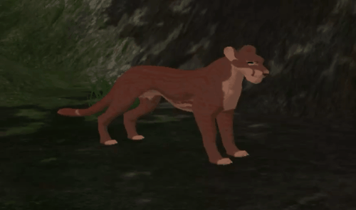 body_5.gif