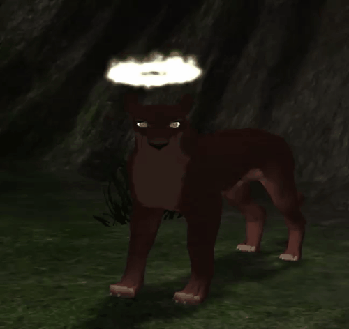 head_15.gif