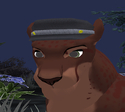 image.png