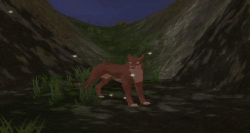 body_60-ezgif.com-cut.gif