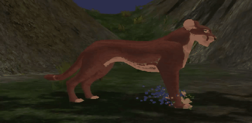 paw_6.gif