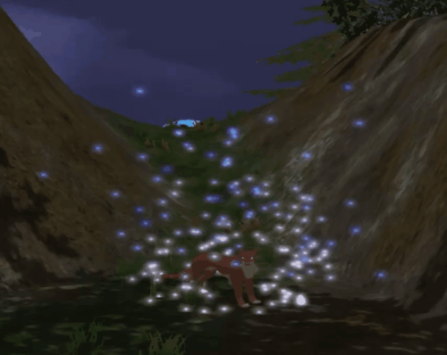 body_65.gif