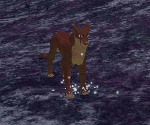 sparklerpaw.gif