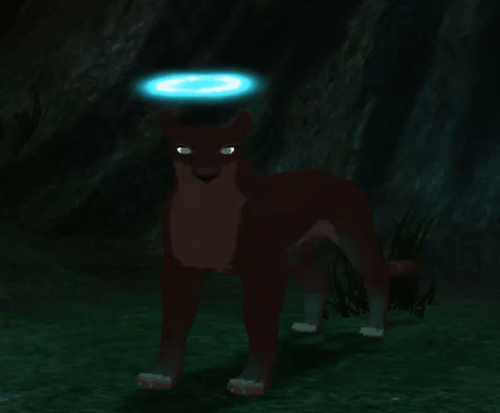 head_9.gif