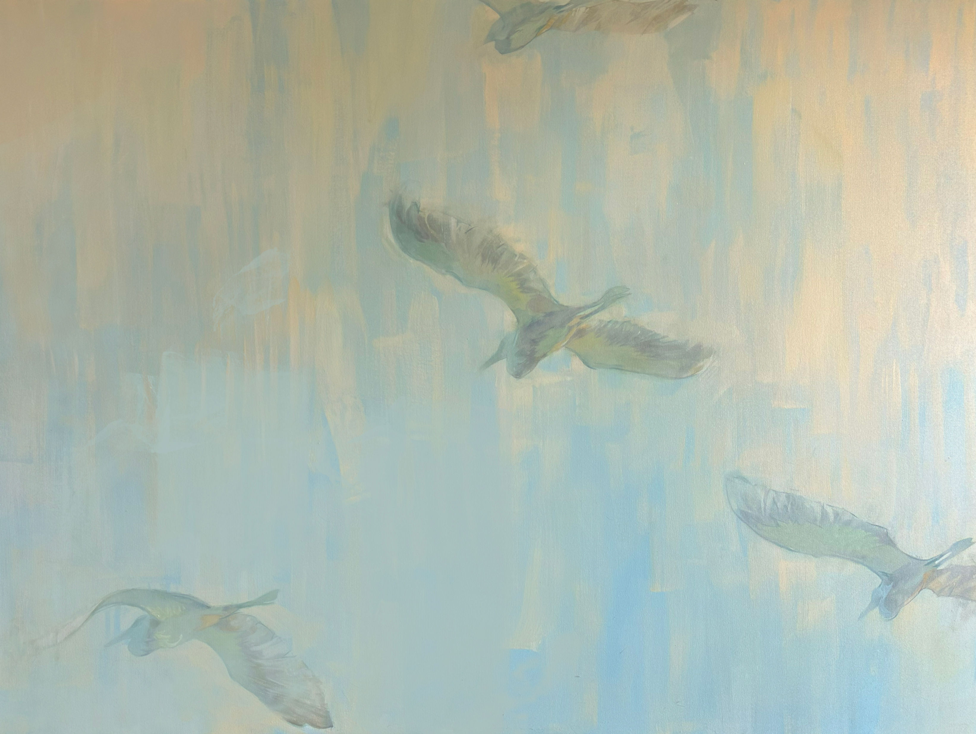 Garzas y cielo