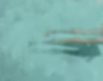 Swimmer 11
