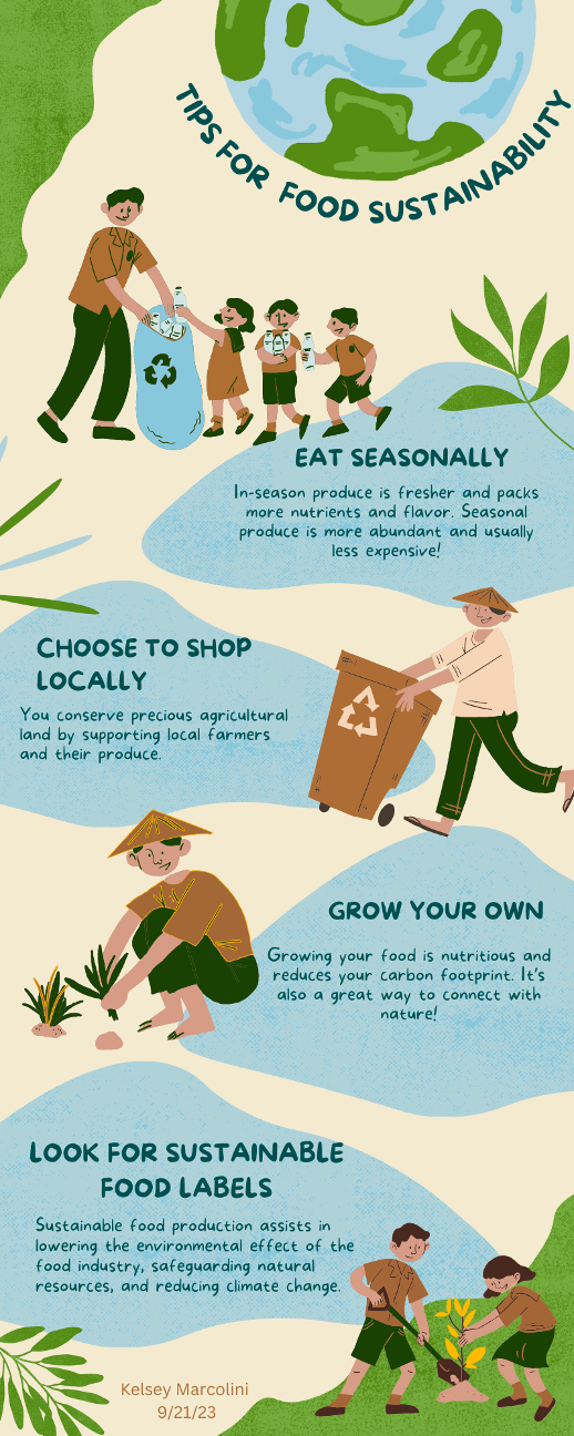 4 Simple Ways to Promote Food Sustainability in Your Everyday Life