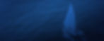 Sail-Boat-Banner-1905x750.jpg