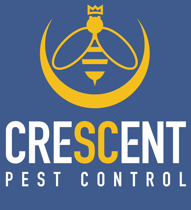 Logo-2_2x-100_White_Gold_No Text_Blue Ba